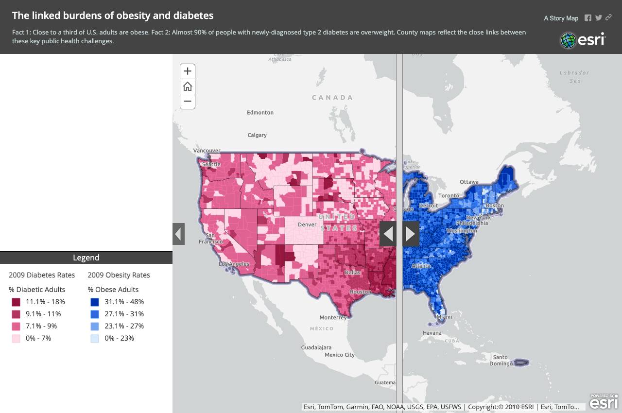 The Linked Burdens of Obesity and Diabetes